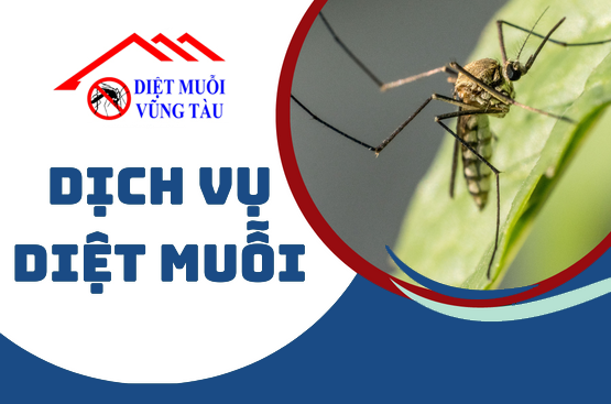 dịch vụ diệt muỗi